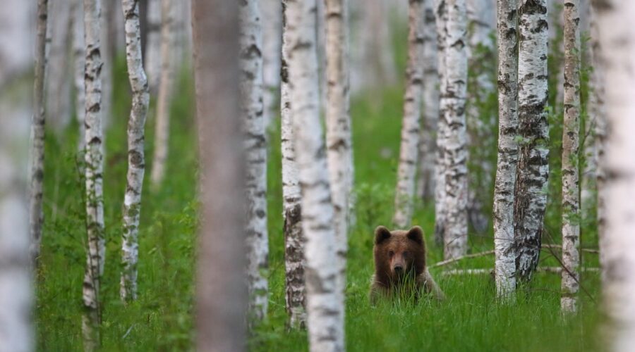 Virumaan kaksi kansallispuistoa tarjoavat upeita luontoelämyksiä