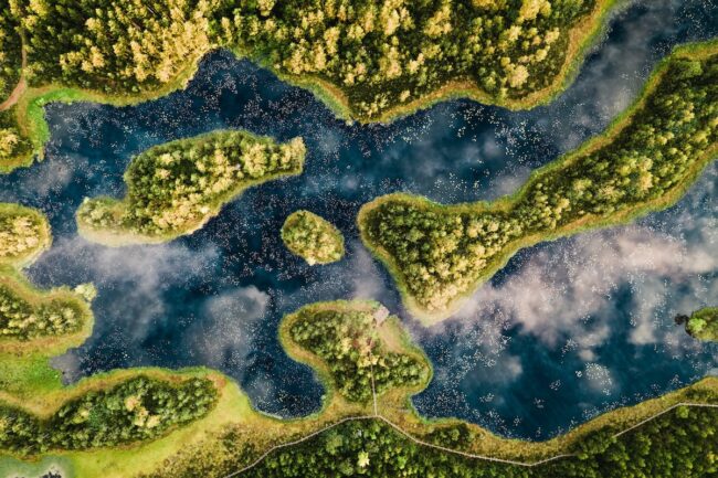 Rapla County Bog Days