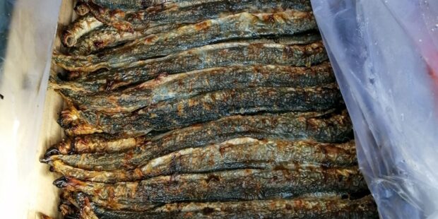 Lamprey Feast in Narva-Jõesuu