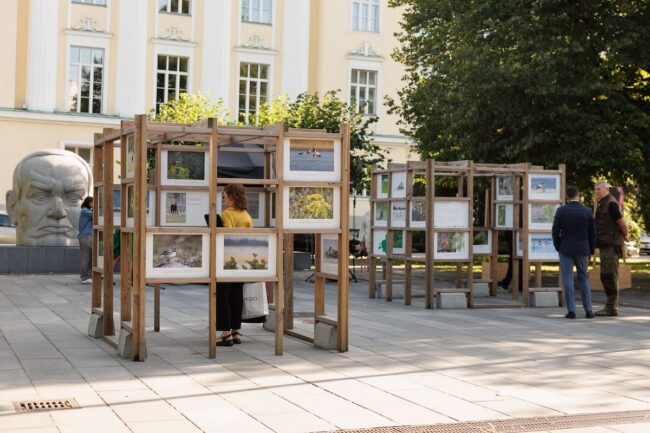 Bloodless Hunt Gallery