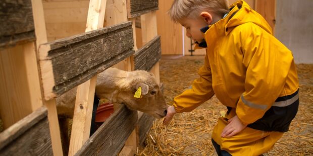 Elämyksellinen talvikausi Viron ulkomuseossa