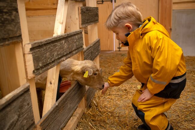 Elämyksellinen talvikausi Viron ulkomuseossa