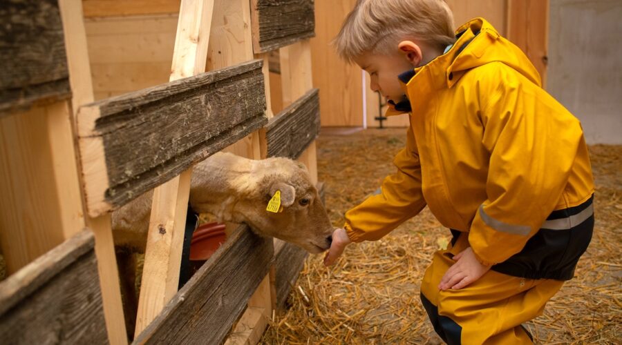 Elämyksellinen talvikausi Viron ulkomuseossa