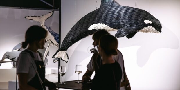Famous LEGO Exhibition Art of the Brick Attracts Visitors in Tallinn