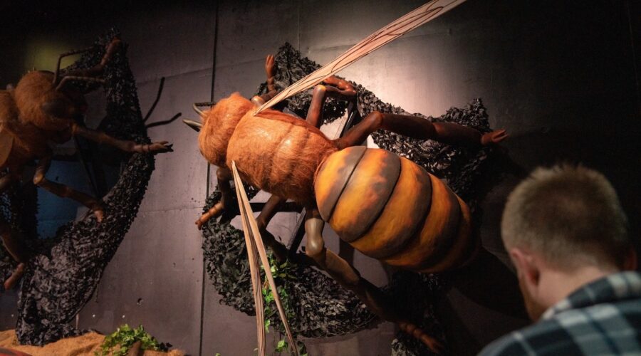 Jättiläisötökät valloittivat Tarton