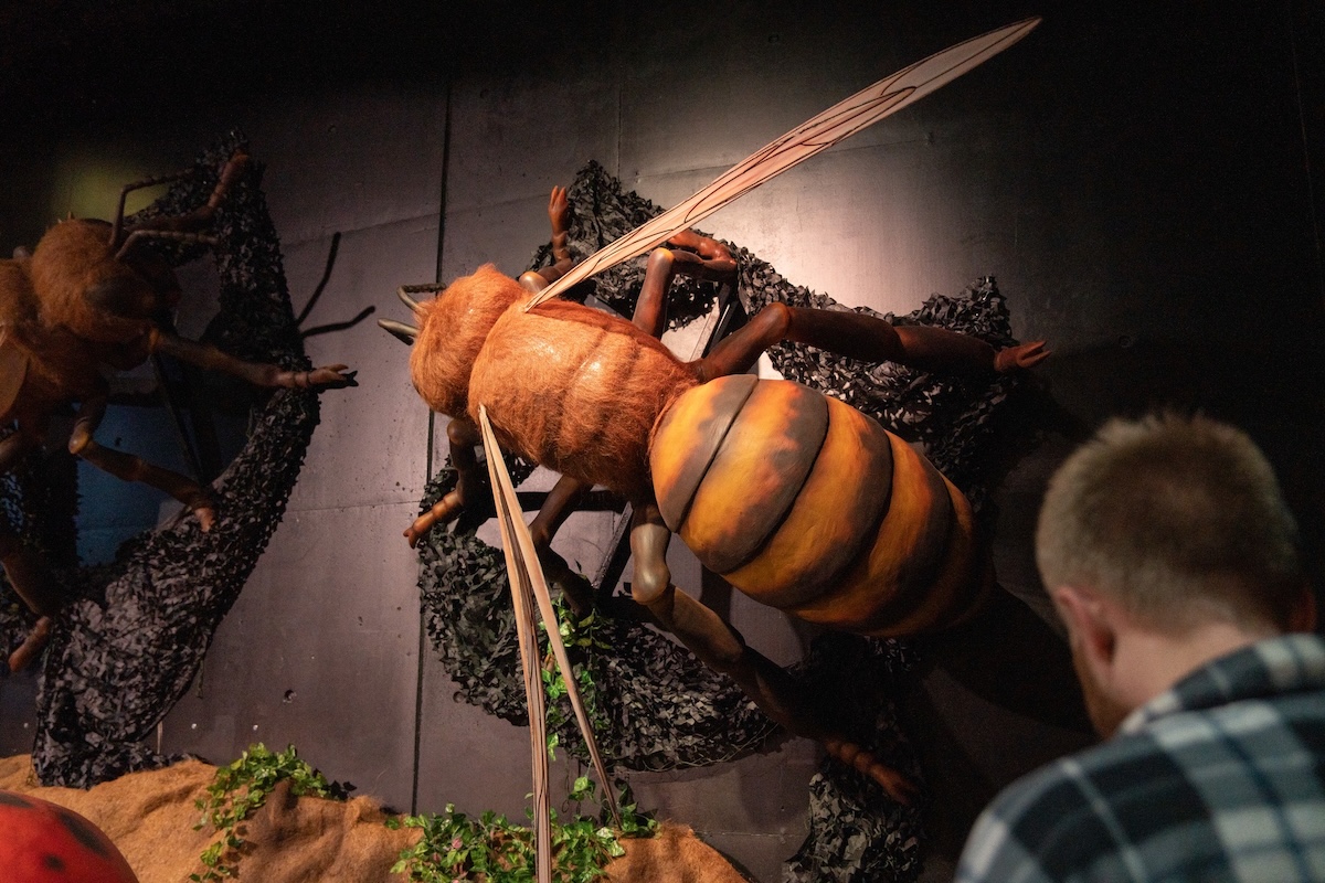 Giant Insects Take Over Tartu