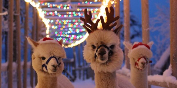 Exciting events in Estonia this week