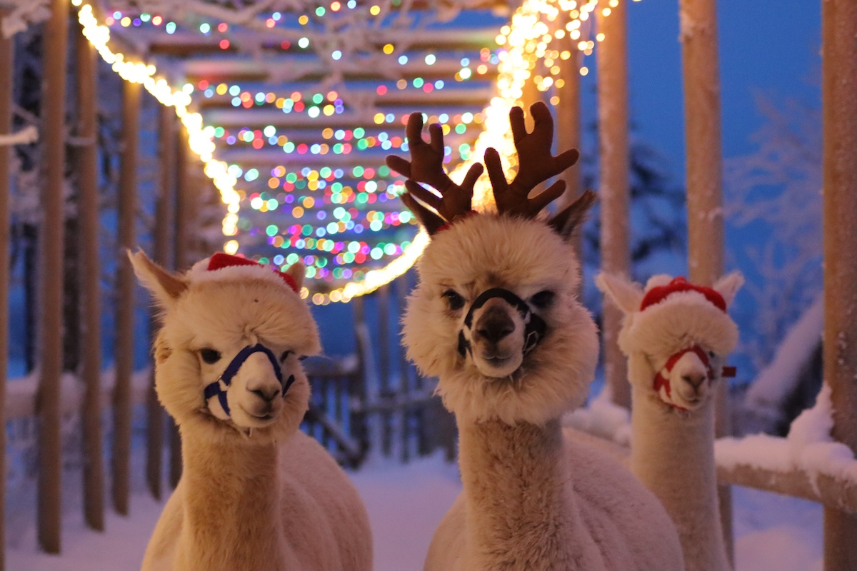 Exciting events in Estonia this week