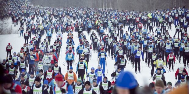 Alkuvuoden ja kesän tapahtumia Virossa