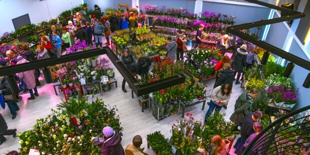 Exciting events in Estonia this week