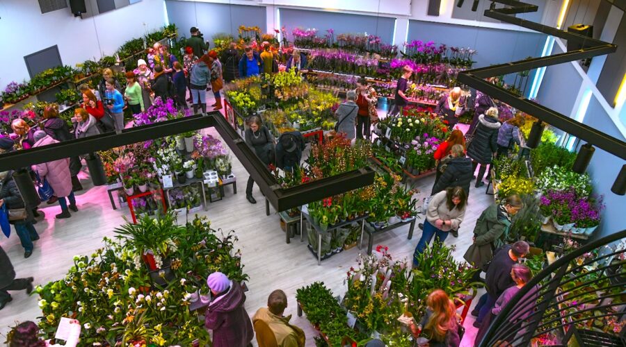 Tällä viikolla tapahtuu Virossa