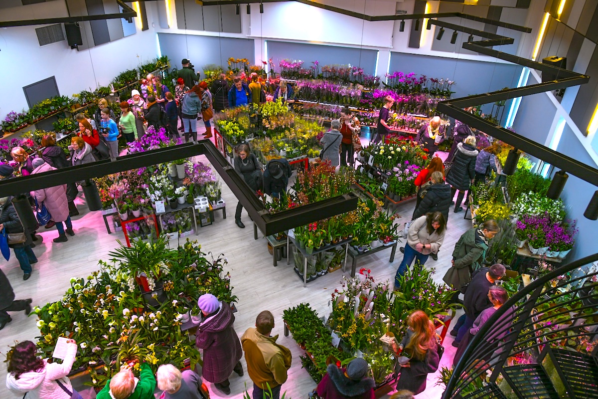 Exciting events in Estonia this week