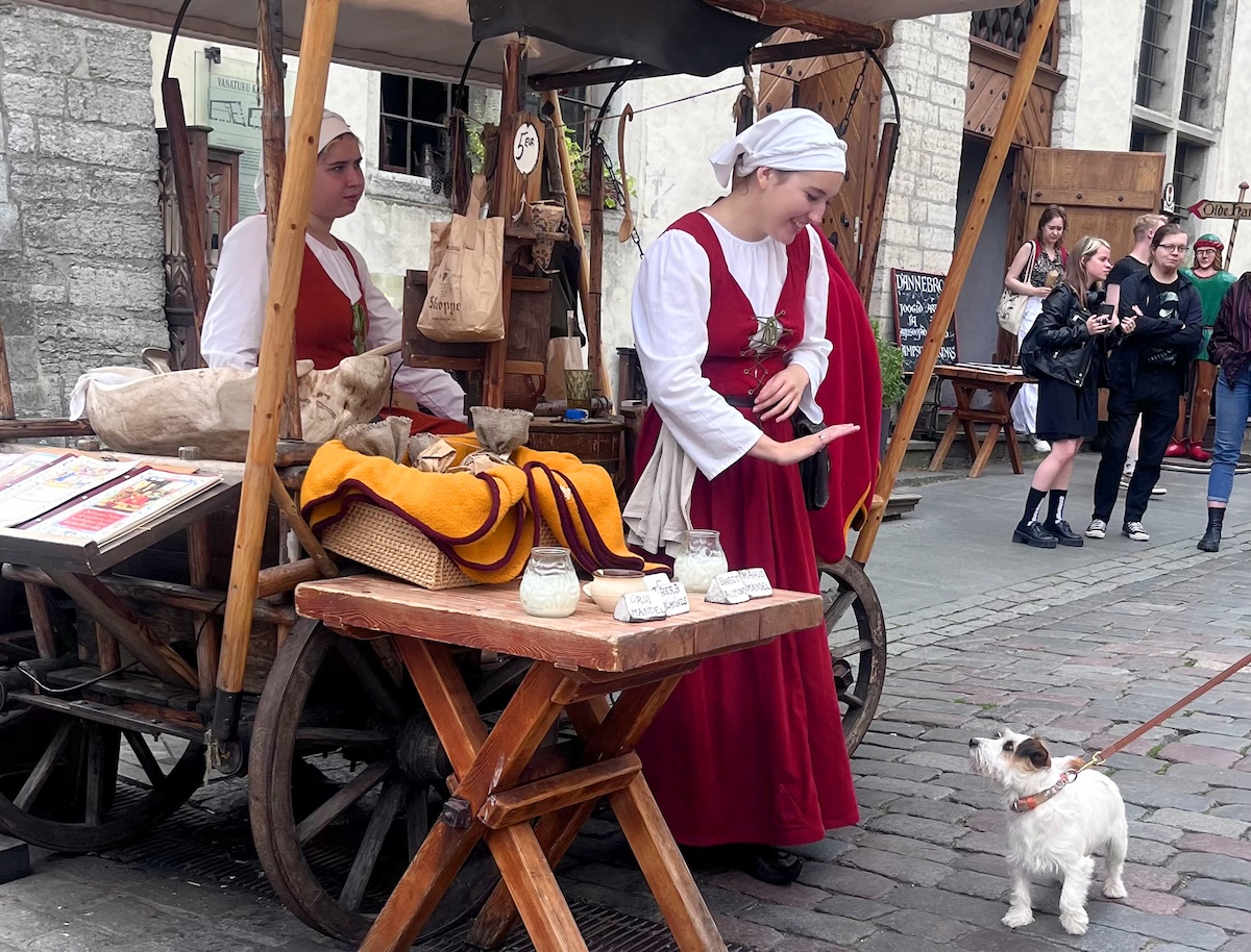 In Stella’s Pawprints—A Perfect Weekend Getaway for Dog and Owner