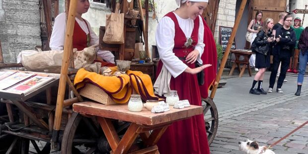 Stellan tassunjäljissä – täydellinen viikonloppureissu koiralle ja omistajalle