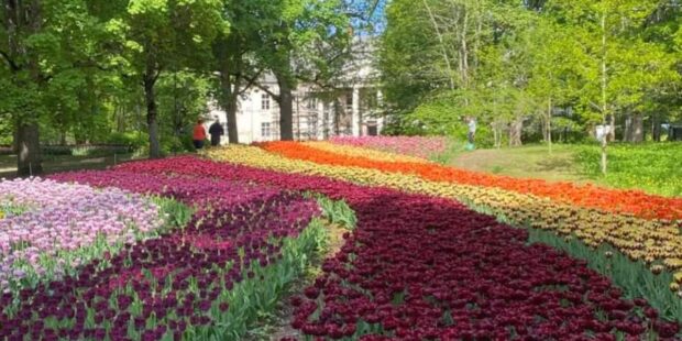 Kevättapahtumia viherpeukaloille