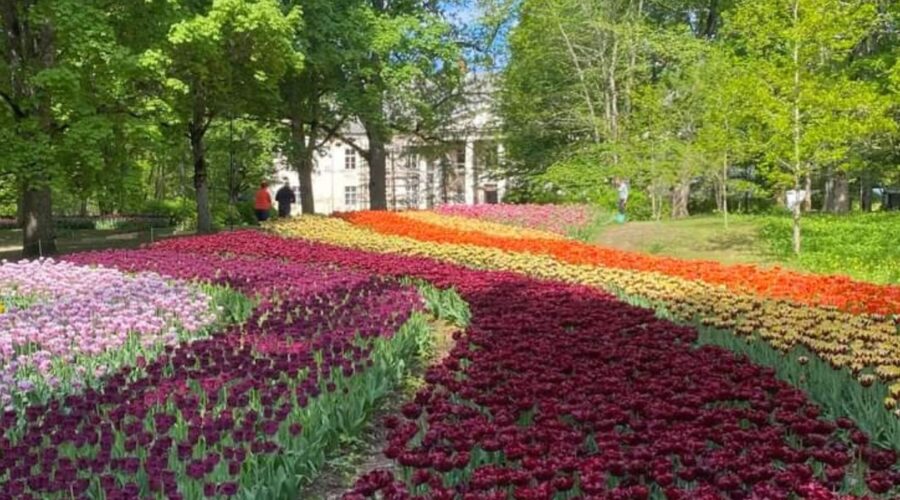 Kevättapahtumia viherpeukaloille