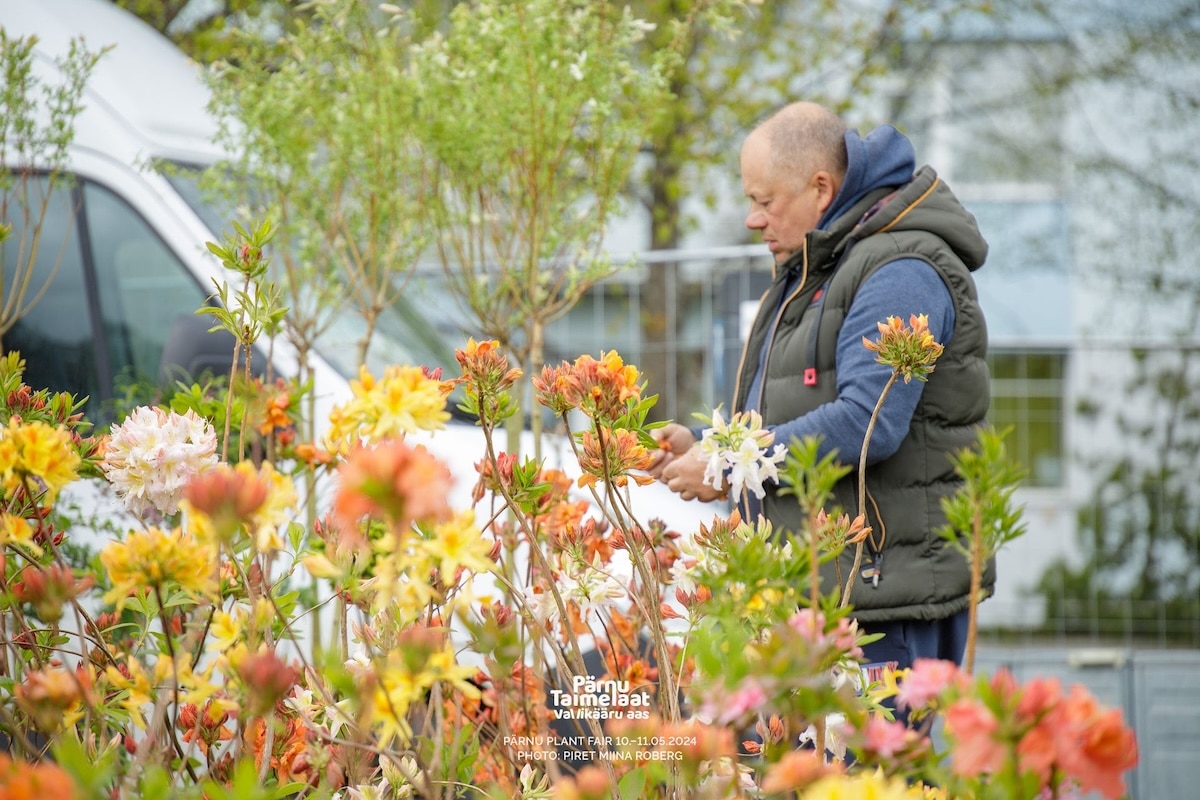Pärnu Plant Fair—Kick off Your Summer in Colour