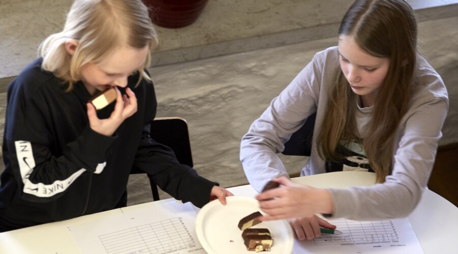 Viron uudet jäätelöt testissä