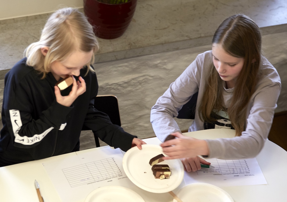 Ice Cream Newcomers in Estonia Put to the Test