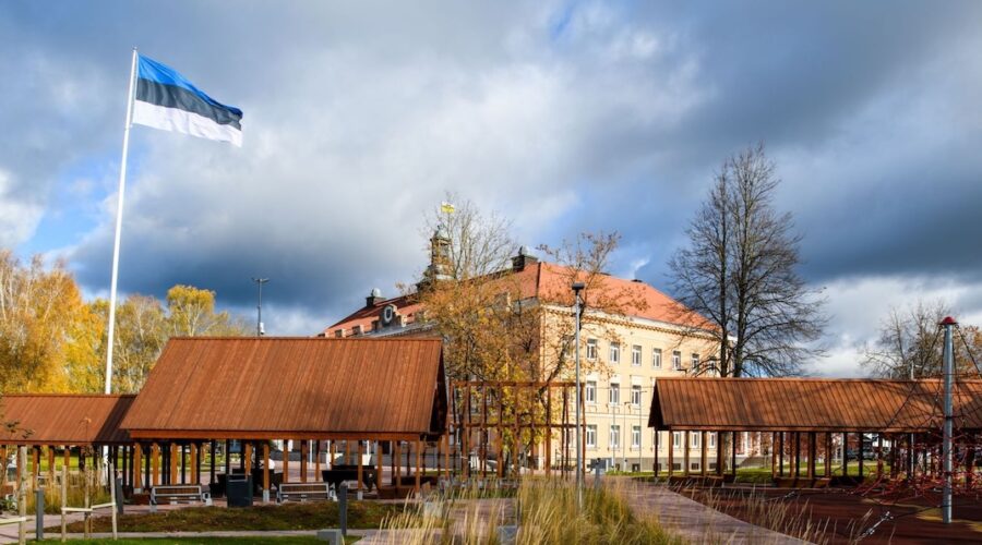 Viron lipun päivä