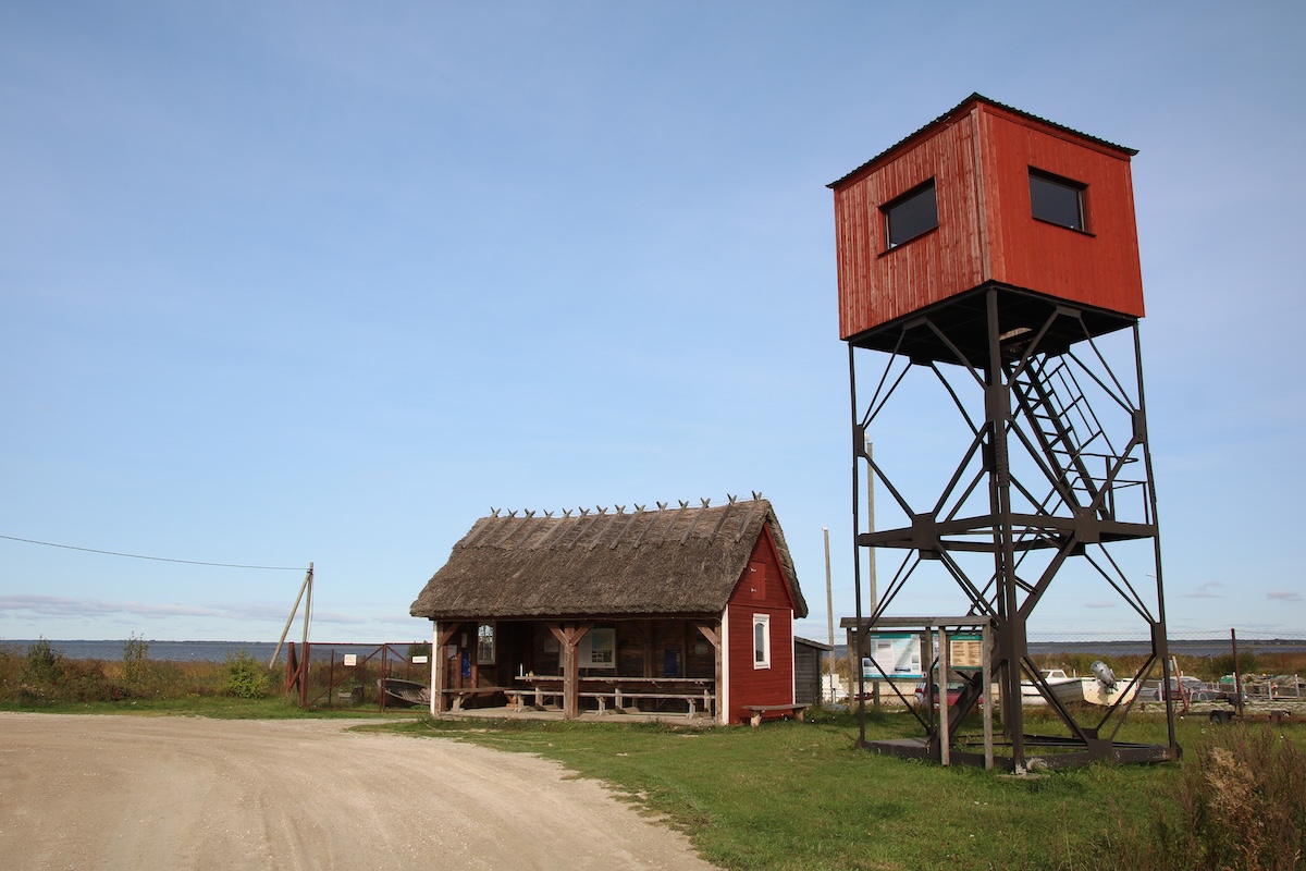 Julkisilla Viron luontoon