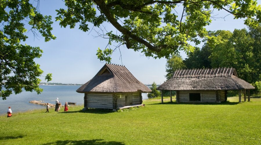 Vilkas ja värikäs kesä Viron ulkomuseossa