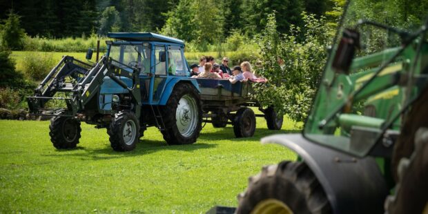 More Than 300 Farms and Manors Across Estonia Open Their Doors