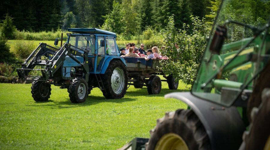 Yli 300 tilaa ja kartanoa Virossa avaavat ovensa 25.–26.7.