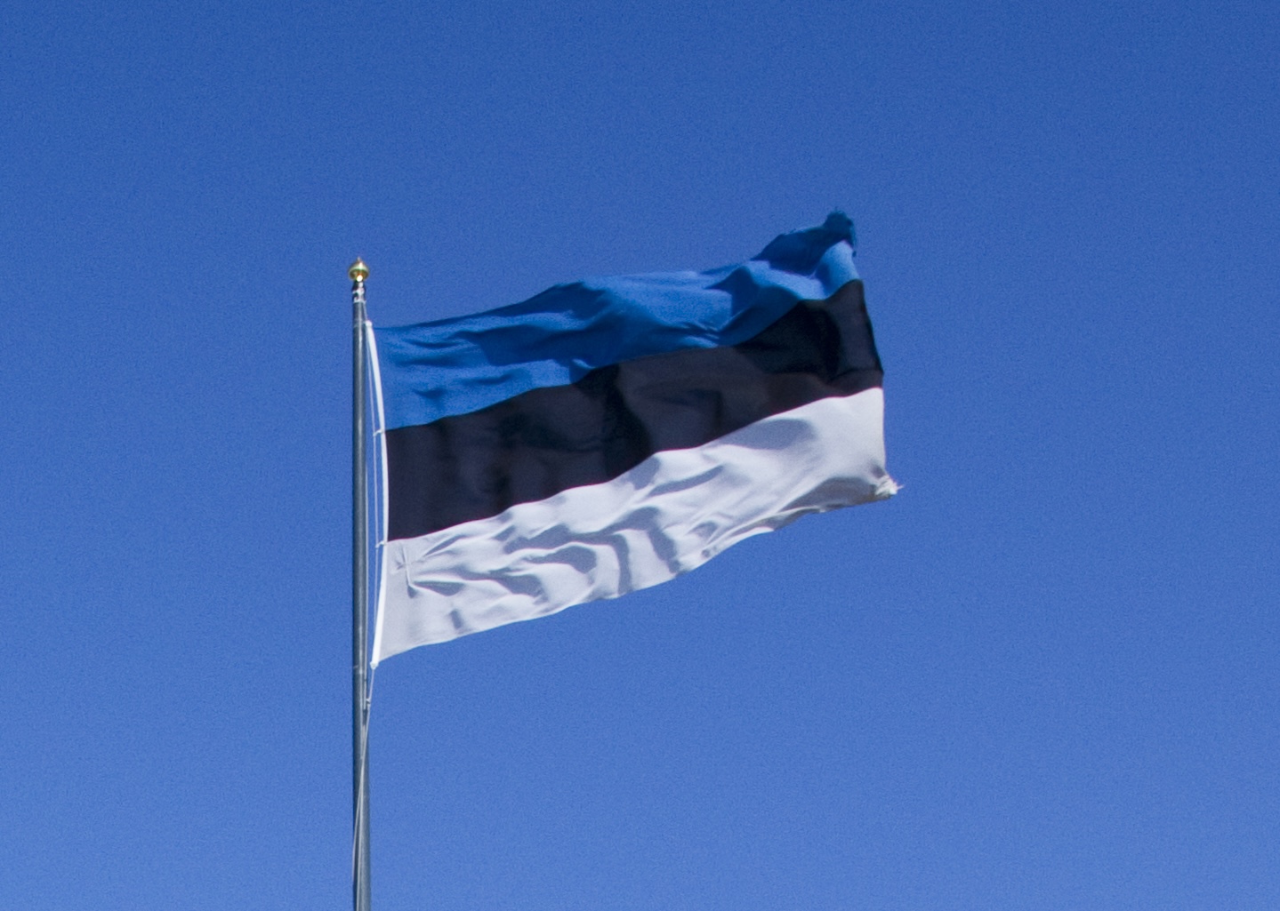 Paljon onnea, Viro ja virolaiset! Palju õnne, Eesti ja eestlased!