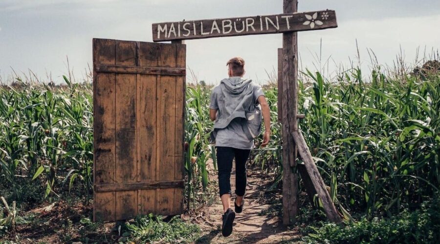 Kaksi maissilabyrinttia kutsuu seikkailuun Virossa